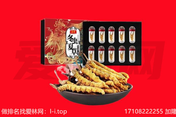 大同市新荣回收虫草.jpg